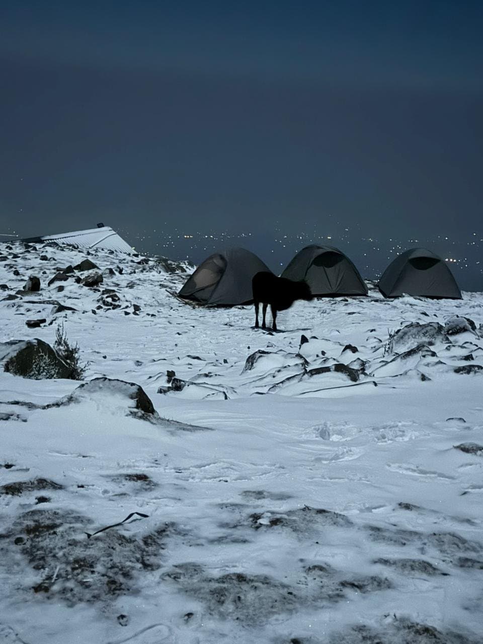 Triund Trek From Delhi Package 2D/1N Camping — photo 2