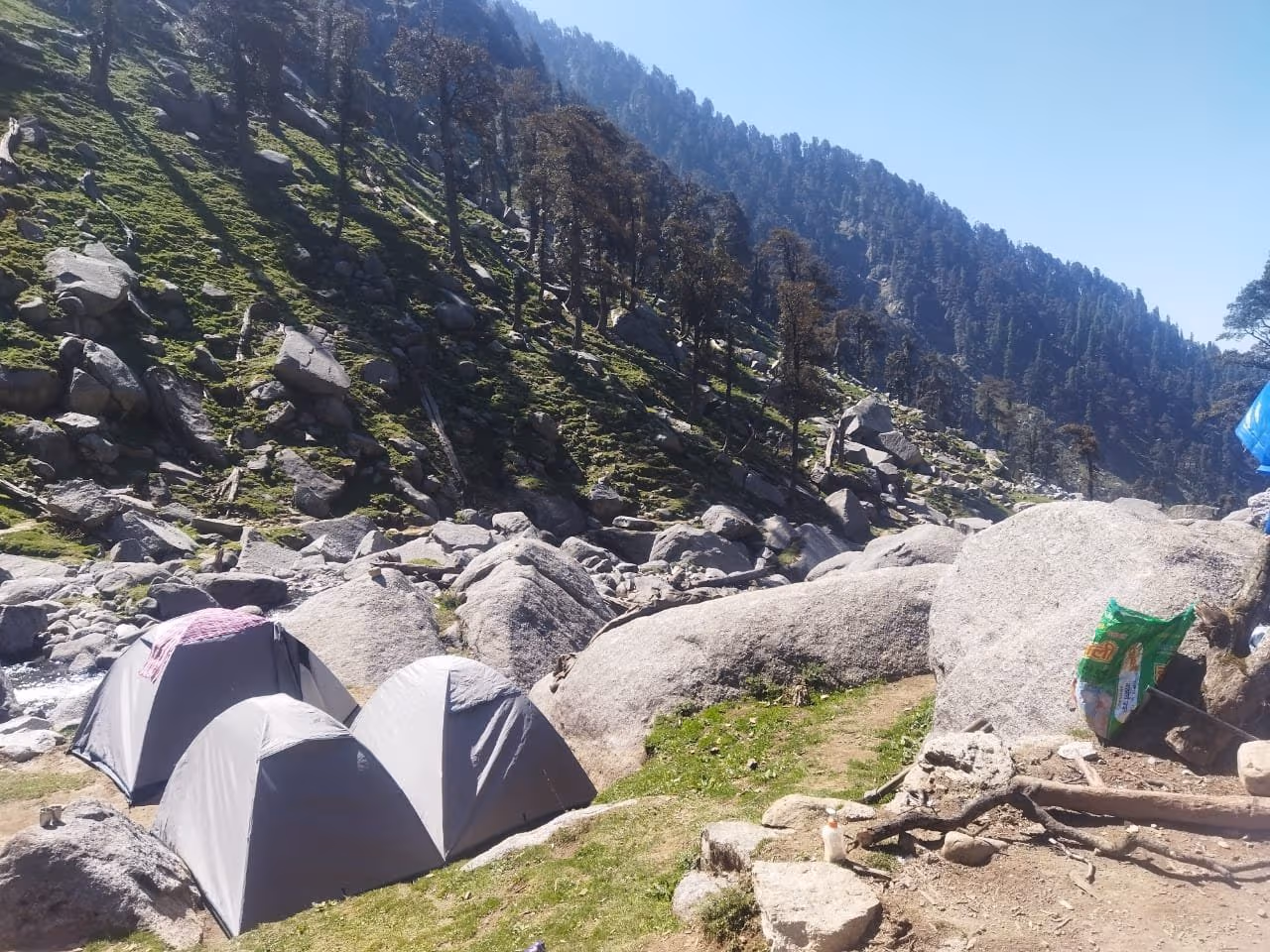 Triund Trek Camping Options for the Perfect Himalayan Getaway